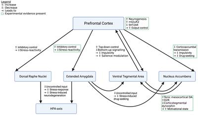 Mini-review: The neurobiology of treating substance use disorders with classical psychedelics